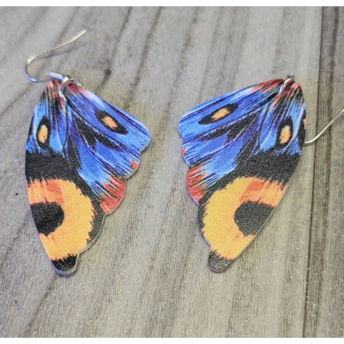 Multi color Butterfly wings